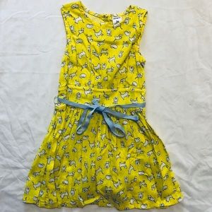 EUC 3t dress with cat print